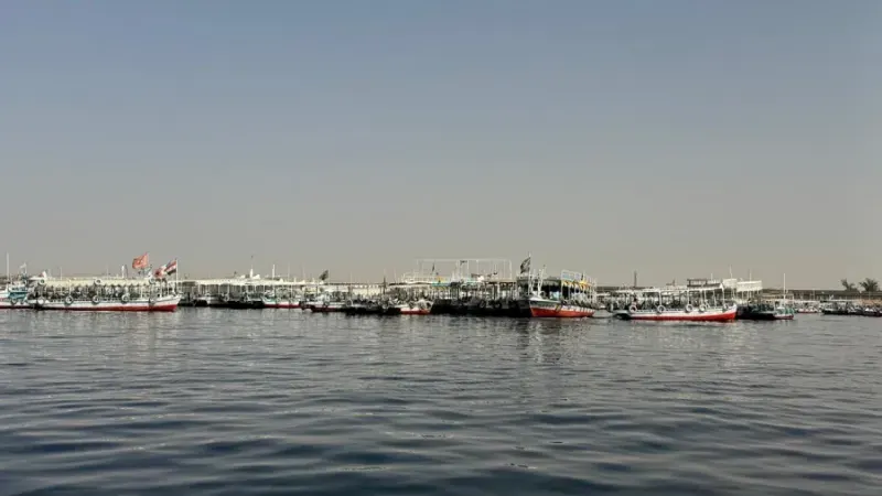 Excursión para visitar la ribera occidental del Nilo en Luxor